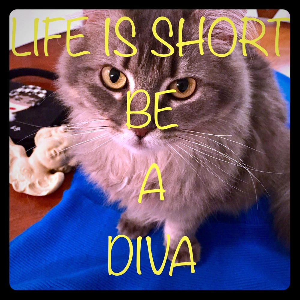 ❤️Be a Diva ❤️